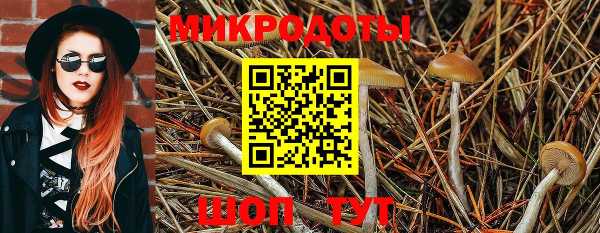 Шатура  Галлюциногенные грибы мухоморы  Вход с VPN  Галлюциногенные грибы Cubensis 